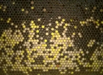 14754500110_h